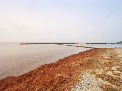 在波罗的海沿岸的古老的木质防波堤。白色泡沫水溅石