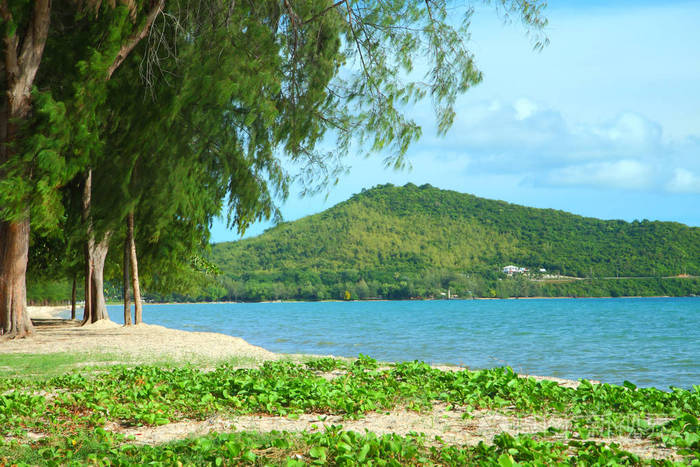 邑春武里东滩海滩清蓝海