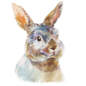 可爱的水彩手绘小毛茸茸的兔子。白色背景上孤立的农村宠物