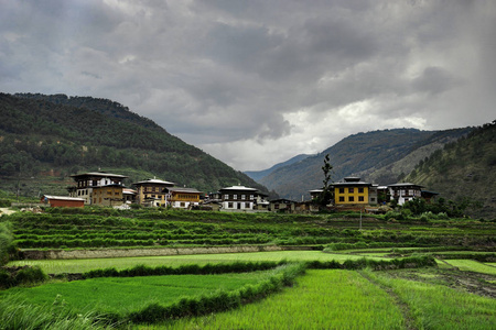 看法在山在不丹