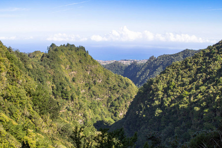 葡萄牙马德拉山雨林全景