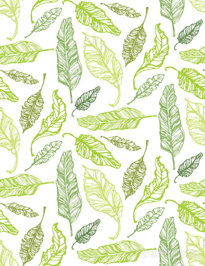 手绘涂鸦图案与棕榈树叶子.热带树叶