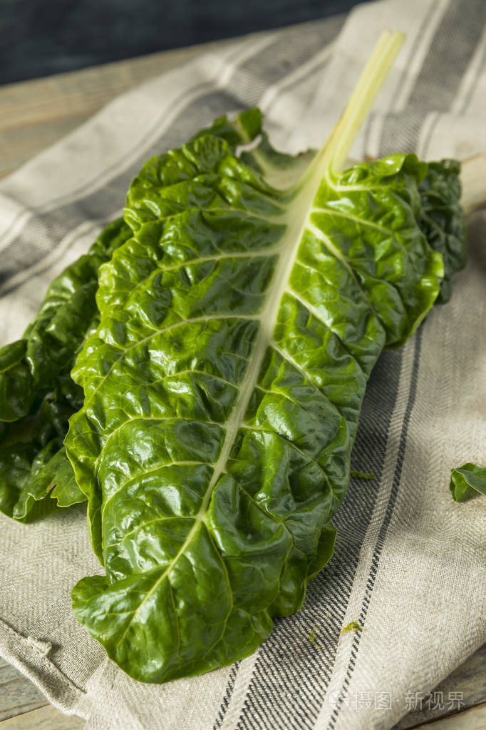 生有机绿色瑞士甜菜