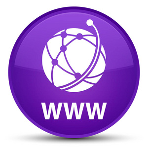 Www 全球网络图标 特殊的紫色圆形按钮