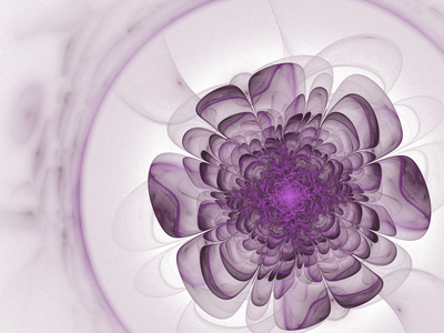 软紫分形花