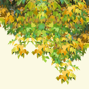 背景画秋天黄绿色浓密的叶子