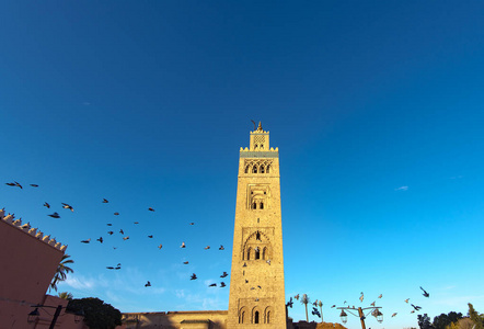 令人惊叹的库图比亚清真寺, 马拉喀什或马拉喀什, 摩洛哥的清晨景色