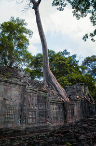 吴哥窟古柏汗寺遗址, 柬埔寨暹粒。柏威夏寺被丛林吞没了。令人惊叹的柏威夏是一个受欢迎的旅游胜地