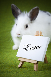 复活节人们用作礼物或装饰品的复活节兔子