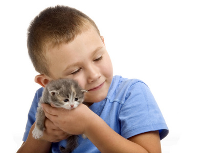 穿蓝色T恤的小男孩和一只毛茸茸的小猫。 摄影摄影