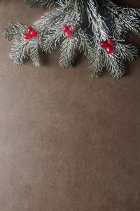 圣诞节树分支小红莓。深灰色石材背景