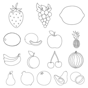 不同的水果轮廓图标集合中的设计.