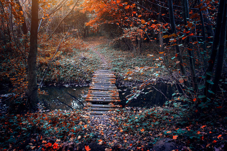在秋天的旧桥