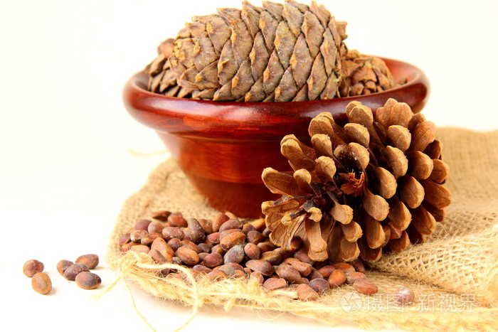 白色背景上有雪松的松子