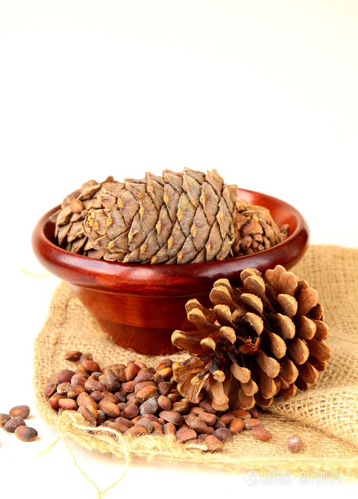 白色背景上有雪松的松子