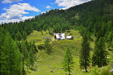 视图从 Pokljuka 山在邻里山, 斯洛文尼亚