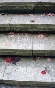 秋叶在台阶上