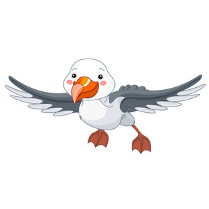 可爱的卡通鸟信天翁矢量插图照片