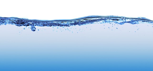 在白色背景下近距离观看两个鱼缸照片