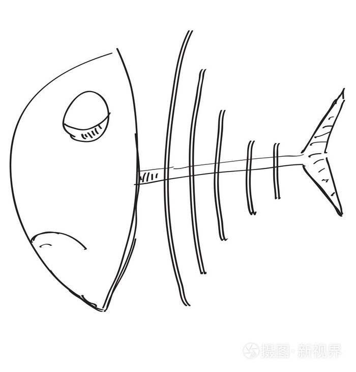 鱼骨架素描图片