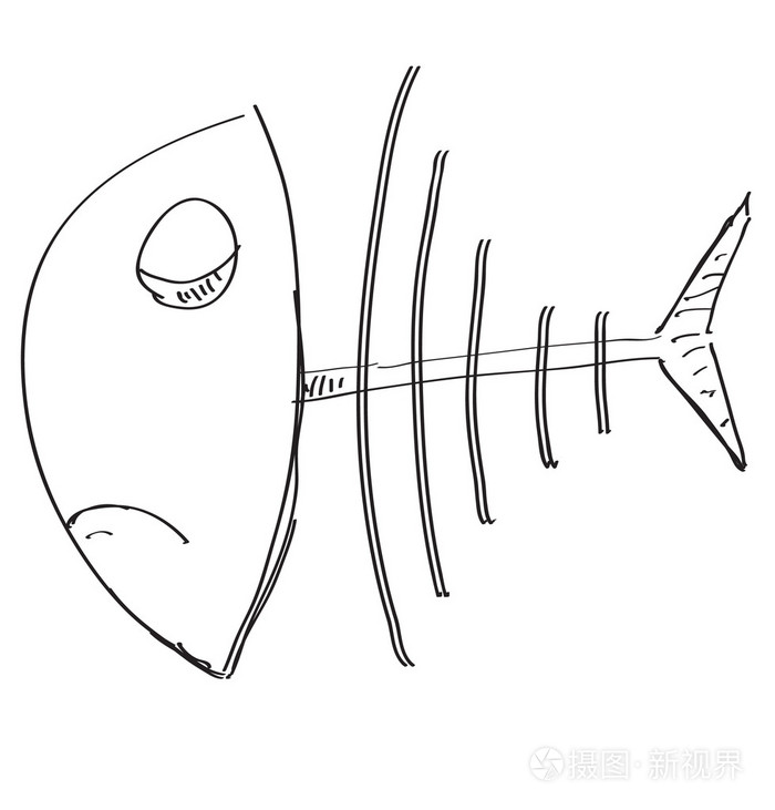 鱼骨架素描