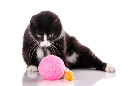 毛茸茸的球游戏图片