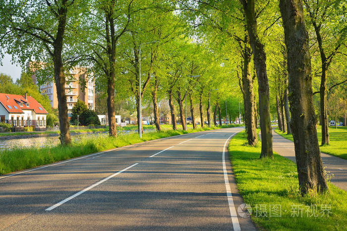 绿树环绕的美丽自行车路