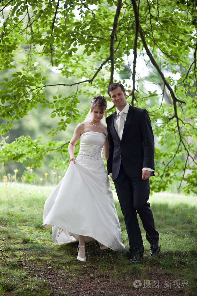 可爱的年轻新婚夫妇新结婚的新郎和新娘摆姿势