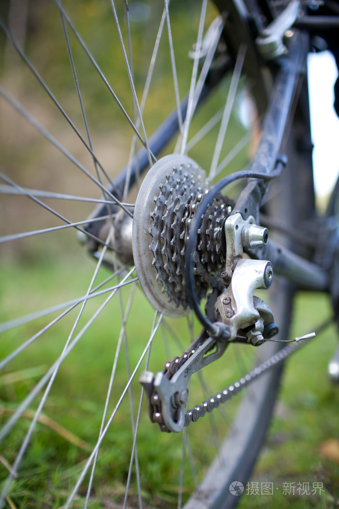 biking - rear wheel of a young womans mountain bike on a green