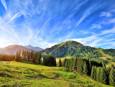 美丽的夏天山风景在阿尔卑斯山。阳光明媚的早晨