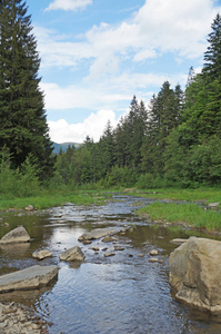山上的普鲁特河迅速流过喀尔巴阡山山脉的山坡, 茂密的森林