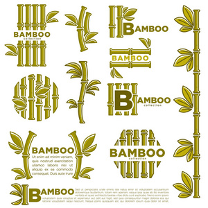 竹徽标模板。纺织或东方温泉或中日料理设计用叶的绿色竹枝