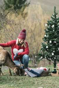女人和她的山羊在花园里玩得很开心。圣诞树装饰