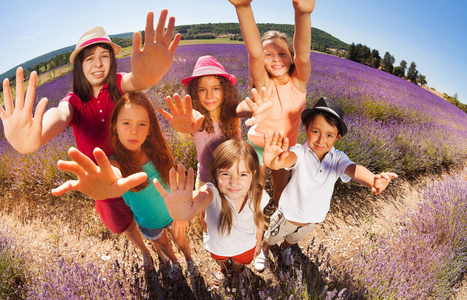 高角度拍摄的六个年龄不同的孩子站在薰衣草领域在夏季和伸出双手拍照