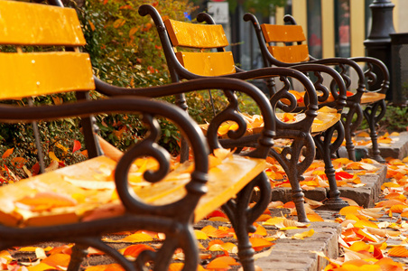 公园里有长椅的秋天心情