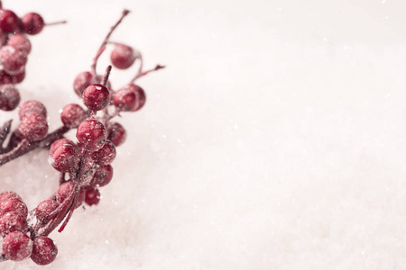 雪上的圣诞红浆果装饰