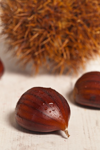栗子 chestnut的名词复数  栗色 栗树 栗色马