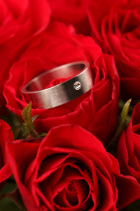 红玫瑰钛订婚戒指