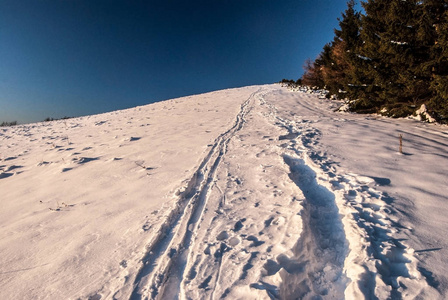 山上有树雪路和晴空