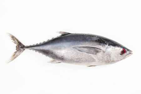 吞拿鱼饭团图片