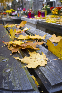 长凳上的黄秋叶