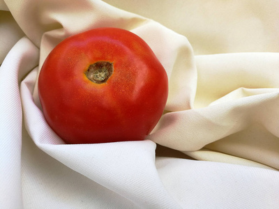 蕃茄在白色布料背景图片