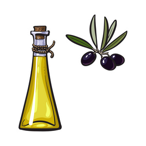 矢量素描橄榄油标志图标孤立