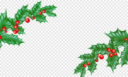圣诞新年贺卡背景模板树分支冬青花环框架