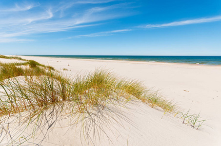波兰 Leba 附近美丽的波罗的海海滩上的沙丘上的青草