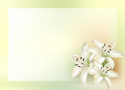 良好的背景,一个网站的花卉,自然艺术和花束.