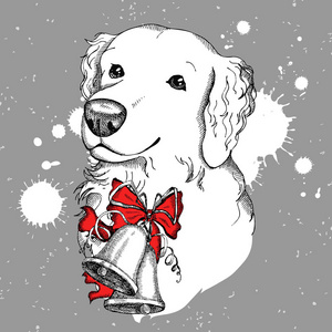 金毛狗手的素描画金毛猎犬zentangle造型头徒手铅笔h金毛猎犬zent