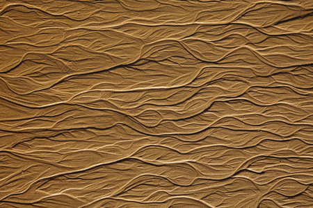 砂的树状纹理