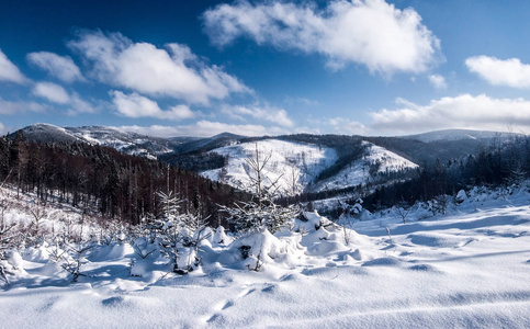 波兰斯洛伐克边境 Zywiec Beskids 山脉附近的 Wielky Przyslop 山的冬山全景 Wielka Rac