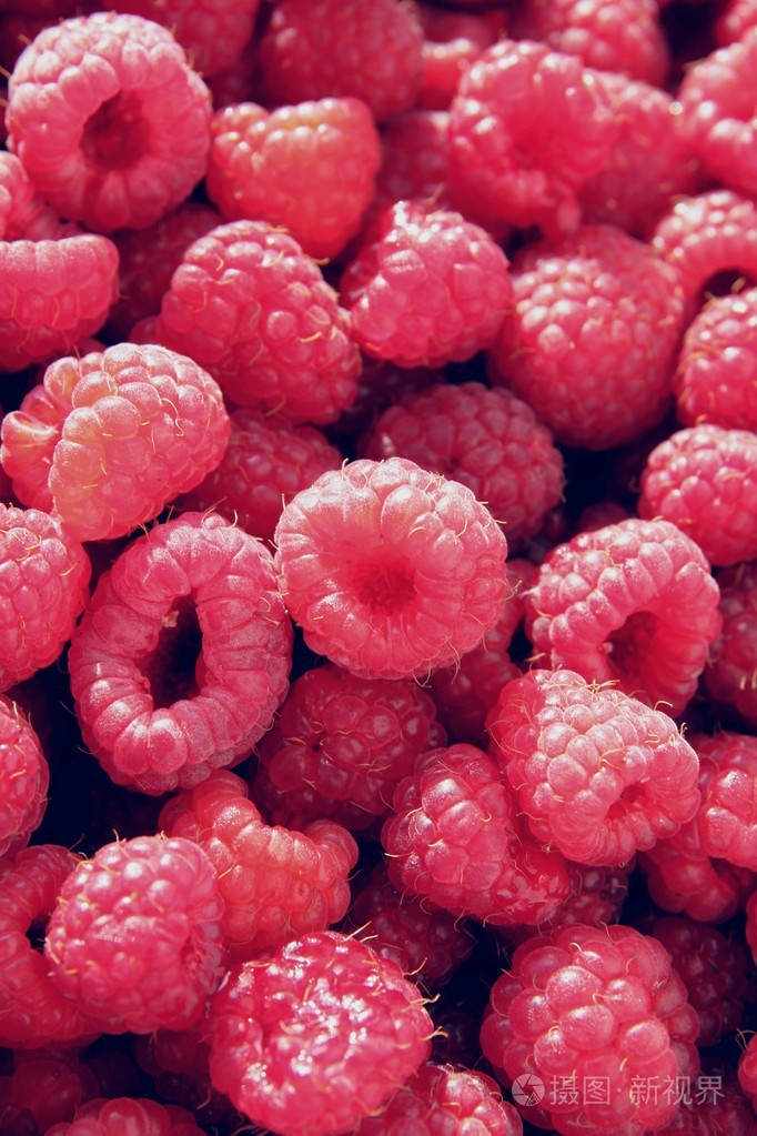 悬钩子树raspberry的名词复数木莓树将舌头伸出并吹气而发出的粗鲁的